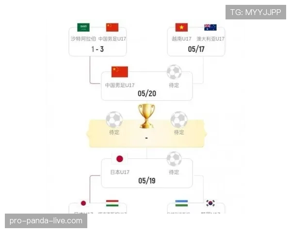 沙特冲击2026世界杯:出线前景、阵容解析与小组对手分析 沙特冲击2026世界杯:出线前景、阵容解析与小组对手分析