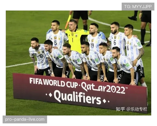 世界杯B组卡塔尔出线概率分析